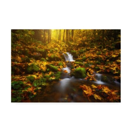 Trademark Fine Art Darren White Photography 'Golden Creek Cascade' Canvas Art, 22x32 ALI46526-C2232GG